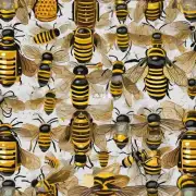 养蜂所需要的材料有哪些?