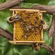 如果我们对蜜蜂不再进行保护与恢复工作那么20年后会不会发生全球性的食品安全危机呢?