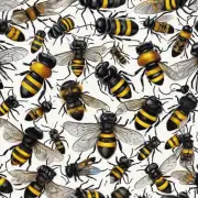 黑蜜蜂在夏季中的具体指代是哪些昆虫?