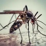 如果你被一只蚊子咬了你会感觉怎么样?
