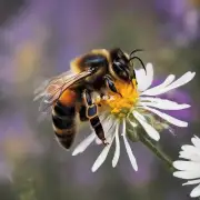 请您介绍一下不同种类的蜂群和它们之间关系的特点吗?