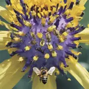 当一个成年人被一只蜜蜂叮咬了会出现一些常见的症状吗?