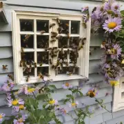 在窗户关闭的情况下如何防止蜜蜂进入室内呢?