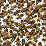 在使用蜜蜂育王棒时需要注意哪些细节或注意事项?