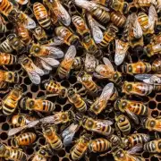 为什么蜜蜂会在蜂蜜中存放一些有害物质比如草药和树皮屑等?