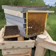 如果要进行双层土养蜜蜂如何取蜜的操作在开始之前需要准备哪些材料或用品呢?