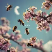 为什么有些蜜蜂在飞行过程中会发出嗡嗡声呢?