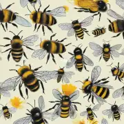 为什么我们需要人工帮助蜜蜂春繁?