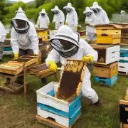 养蜂的经济效益怎样?
