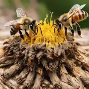 蜜蜂为什么不会将巢穴里所有的蜜都吃光而导致大量死亡的现象发生呢?