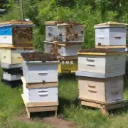 是的我最近几个月都没有进行任何新的蜂箱建造工作或添加新蜂群的工作因为我的两个蜂箱已经满当量并且已经达到了饱和状态问题是什么蜜蜂不容易分蜂?