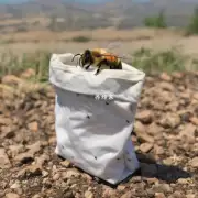 如果我被蜂子咬了会肿起一个大包吗?