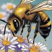如果酱油没有吸引蜜蜂那蜜蜂又是如何进入你嘴里的呢?