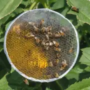 我想知道在什么情况下使用盆盖住能延长蜜蜂寿命不说其他情况只说温度较低的情况下如果将蜂箱盖上塑料盆盖子的话会降低蜜蜂生存率吗?
