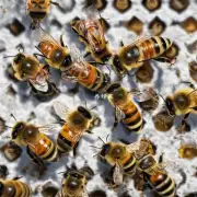 我听说蜜蜂育王棒可以有效增加养蜂产量那我想知道如何正确使用蜜蜂育王棒才能达到最佳效果呢?