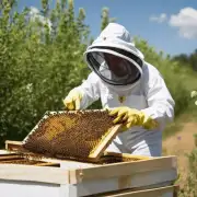 养蜂所处环境对养蜂有何影响?