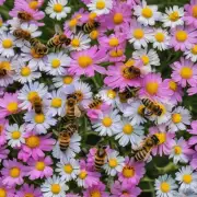 为什么蜜蜂可以找到花朵的甜味而不是依靠视觉感知来识别它们?