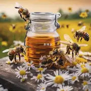 在什么时候停止加糖水以避免蜜蜂过度采食导致产蜜能力下降?