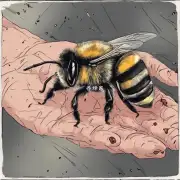 如果一个人在室外时遇到了一只蜜蜂并遭到攻击他会如何感到疼痛以及出现其他什么情况?