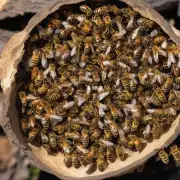 蜜蜂为什么不能将它们收集到的食物储存起来用于自己的存活和繁殖?