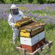 What are some ways to protect bees?