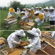 我对养蜂有兴趣昌都区农牧民科技示范中心可以提供有关养蜂方面的培训吗?