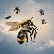 为什么蜜蜂在飞行时总是朝向某个方向而不是随机朝向呢?