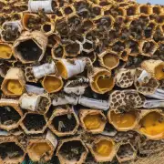 对于那些想通过自制蜂巢来饲养蜜蜂的人来说您推荐购买哪种材料的蜂箱包装袋比较好呢?