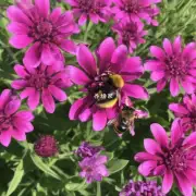有我想了解更多关于那些花会伤害蜜蜂伶俐多士属植物中的一些种类是否会伤害蜜蜂?