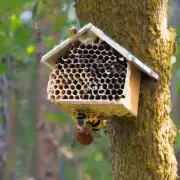 没有任何干扰的情况下在移动过程中是否需要将蜂蜜搬进巢箱?