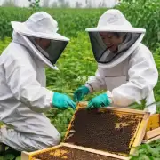 的问题扬州有哪些适合养蜂子的地方并且价格低廉又易于养殖的地方?