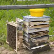 为什么你需要准备一些蜜蜂护理用品?