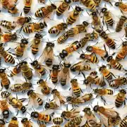 蜜蜂在采集食物时会遇到很多危险例如被虫子叮咬或被捕食者攻击 如果蜜蜂受到严重威胁它们如何保护自己并补充营养以保持健康?