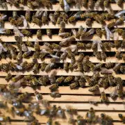 是关于四楼如何避免吸引蜜蜂的麻麻我不太懂这些昆虫学知识能否提供一些关于四楼如何防止吸引蜜蜂的方法?