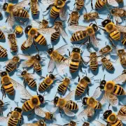 除了授粉功能外蜜蜂还有哪些重要特点和用途?