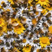 还有最后一个问题 我们通常认为蜂蜜是糖分的来源为什么蜜蜂会制造出大量的花粉来吸引授粉昆虫而不是仅仅收集蜜?
