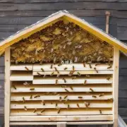 要保持一个大型蜂巢中的蜜蜂数量稳定 建造过程中是用多少块蜂蜡?