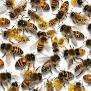 对于那些只靠花粉喂养而不需要采花蜜的蜜蜂来说如果新冠病毒疫情爆发了它们可以存活多长时间?