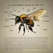 蜜蜂在蜂箱中存活的时间长短与食物水源等因素之间存在怎样的关系?