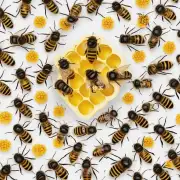 有哪些食物可以预防被蜜蜂蜇伤嘴部的风险?