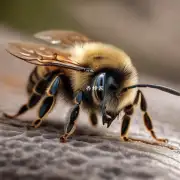 如果一个人被蜜蜂蜇破皮肤并出现了过敏反应的症状他或她应该如何采取行动以避免生命危险?