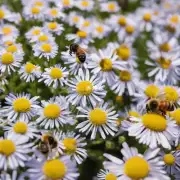 在被蜜蜂蛰了后你的身体是否会产生某种物质例如组胺以对抗蜜蜂毒素的刺激作用?如果这个假设是正确的话你吃什么可以帮助抵抗这种化学物质的效应呢?