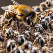 一句蜜蜂在正常情况下能够生存多久?