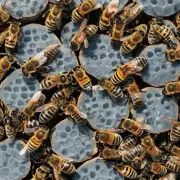 当蜜蜂被杀时它们会做什么来保护自己吗?