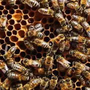 在幼虫孵化期间蜜蜂工蜂会通过什么方式来保持巢箱内的温度和湿度?