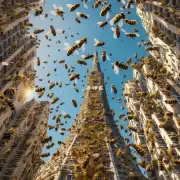 如果你住在高楼但蜜蜂仍然飞来飞去怎么办?