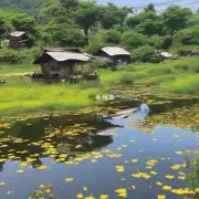 养蜂地点的周围环境有哪些例如是否有水源道路网络等?