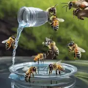 当蜜蜂不能找到足够的水源时该如何帮助它们喝水喝好?