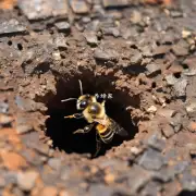 一句话总结蜜蜂为什么被困在洞中?