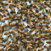 你能告诉我一些与蜜蜂相关的古老故事吗?